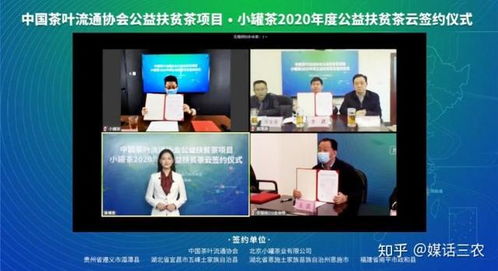 小罐茶为深山好茶搭建大舞台 公益扶贫路上茶香四溢